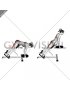 Weighted Plate Hyperextension (VERSION 2) (female)