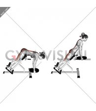 Weighted Plate Hyperextension (VERSION 2) (female)