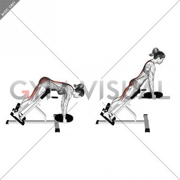 Weighted Plate Hyperextension (VERSION 2) (female)