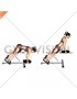 Weighted Plate Hyperextension (VERSION 2) (female)