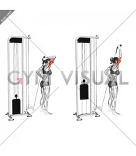 Cable Overhead Single Arm Triceps Extension (rope attachment) (female)
