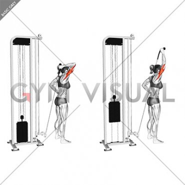 Cable Overhead Single Arm Triceps Extension (rope attachment) (female)