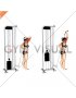 Cable Overhead Single Arm Triceps Extension (rope attachment) (female)