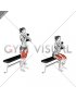 Dumbbell Goblet Box Squat (female)