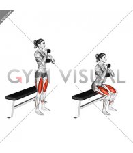 Dumbbell Goblet Box Squat (female)