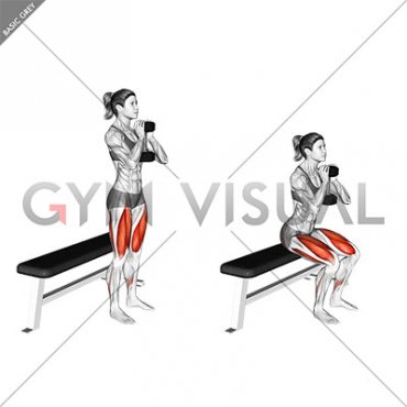 Dumbbell Goblet Box Squat (female)