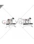 Bench Hip Extension (female)