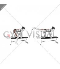 Bench Hip Extension (female)