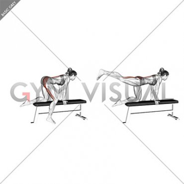 Bench Hip Extension (female)