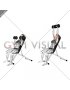 Dumbbell Incline Shoulders Press (female)