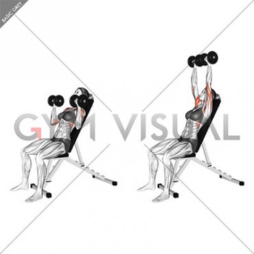 Dumbbell Incline Shoulders Press (female)
