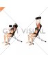 Dumbbell Incline Shoulders Press (female)