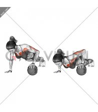 Push-up Medicine Ball (female)