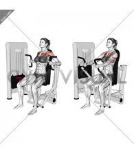 Machine Inner Chest Press (female)