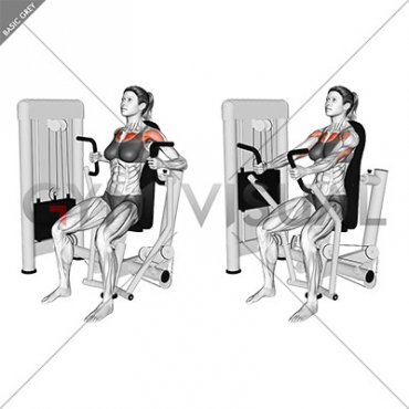 Machine Inner Chest Press (female)