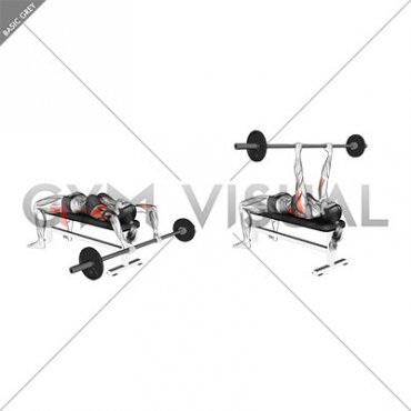 Barbell Bent Arm Pullover (female)