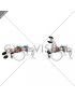Dumbbell Pullover on Exercise Ball (female)