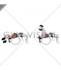 Dumbbell Pullover on Exercise Ball (female)