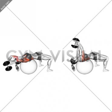 Dumbbell Pullover on Exercise Ball (female)