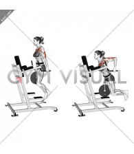 Weighted Tricep Dips (female)