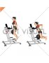 Weighted Tricep Dips (female)