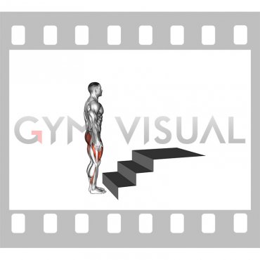 Step-up (1st and 2nd stairs steps)