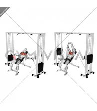 Cable Incline Fly