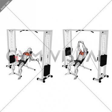 Cable Incline Fly