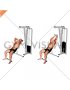 Cable Rope Incline Tricep Extension