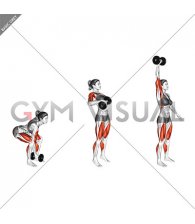 Dumbbell One Arm Snatch (female)