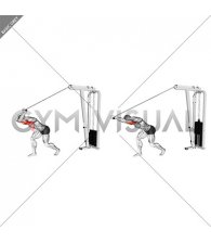 Cable High Pulley Straight Bar Overhead Triceps Extension