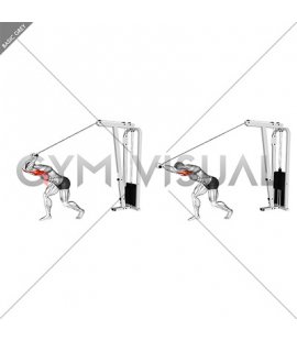 Cable High Pulley Straight Bar Overhead Triceps Extension