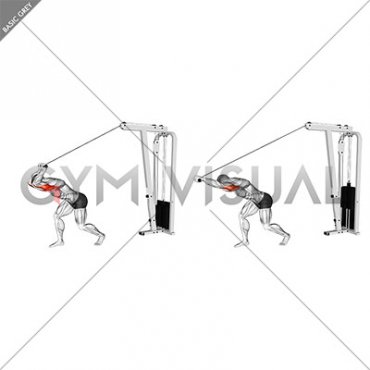 Cable High Pulley Straight Bar Overhead Triceps Extension