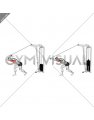 Cable High Pulley Straight Bar Overhead Triceps Extension