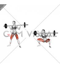 Barbell Sumo Squat (female)