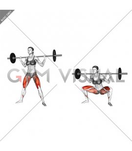 Barbell Sumo Squat (female)
