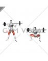 Barbell Sumo Squat (female)