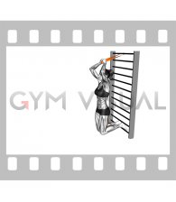 Resistance Band Assisted Nordic Hamstring Curl (female)