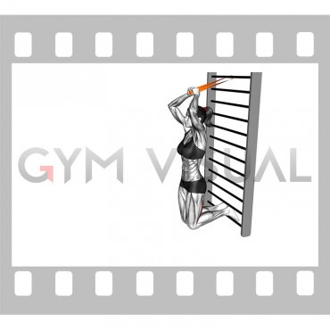 Resistance Band Assisted Nordic Hamstring Curl (female)