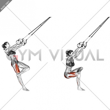 Suspension Single Leg Squat (figure)