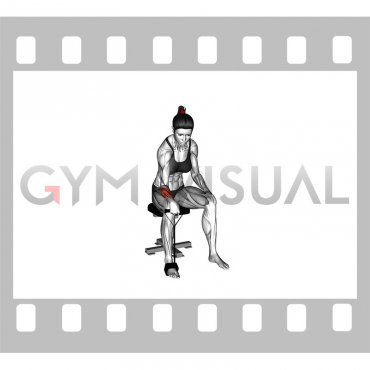 Band Reverse Wrist Curl (female)