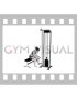 Cable Reverse Wrist Curl (female)