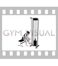 Cable Reverse Wrist Curl (female)