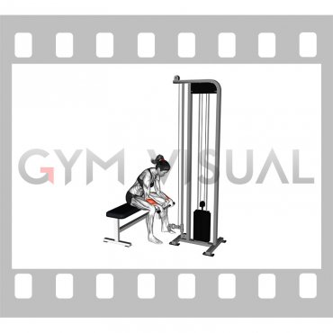Cable Reverse Wrist Curl (female)