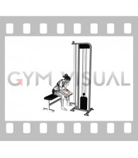 Cable Wrist Curl (female)