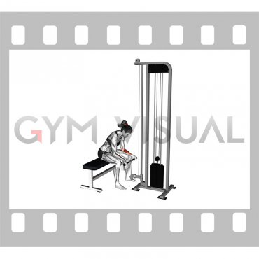 Cable Wrist Curl (female)