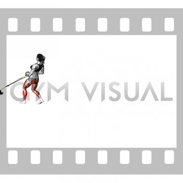 Power Sled Rear Drag (VERSION 2) (female)