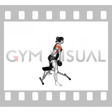 Dumbbell Standing Prone Y Raise (female)