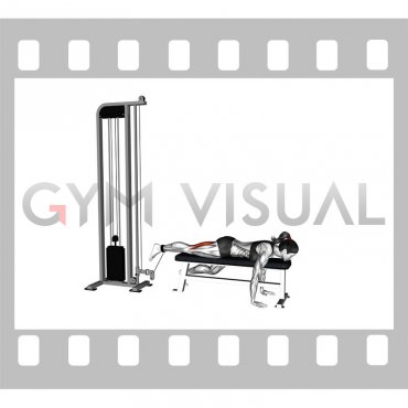 Cable Lying Bench Single Leg Curl (female)