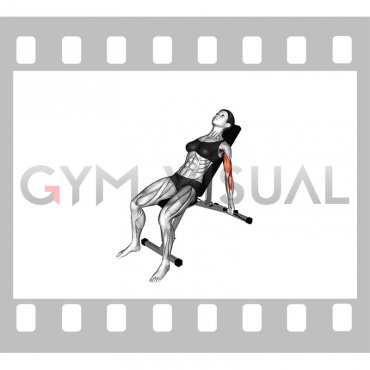Band Incline Biceps Curl (female)